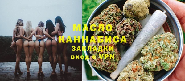крисы Абаза