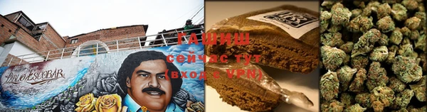 крисы Абаза