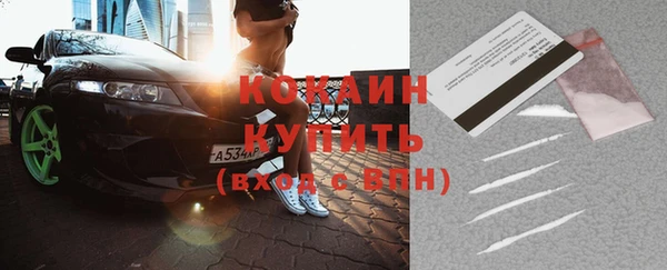 крисы Абаза